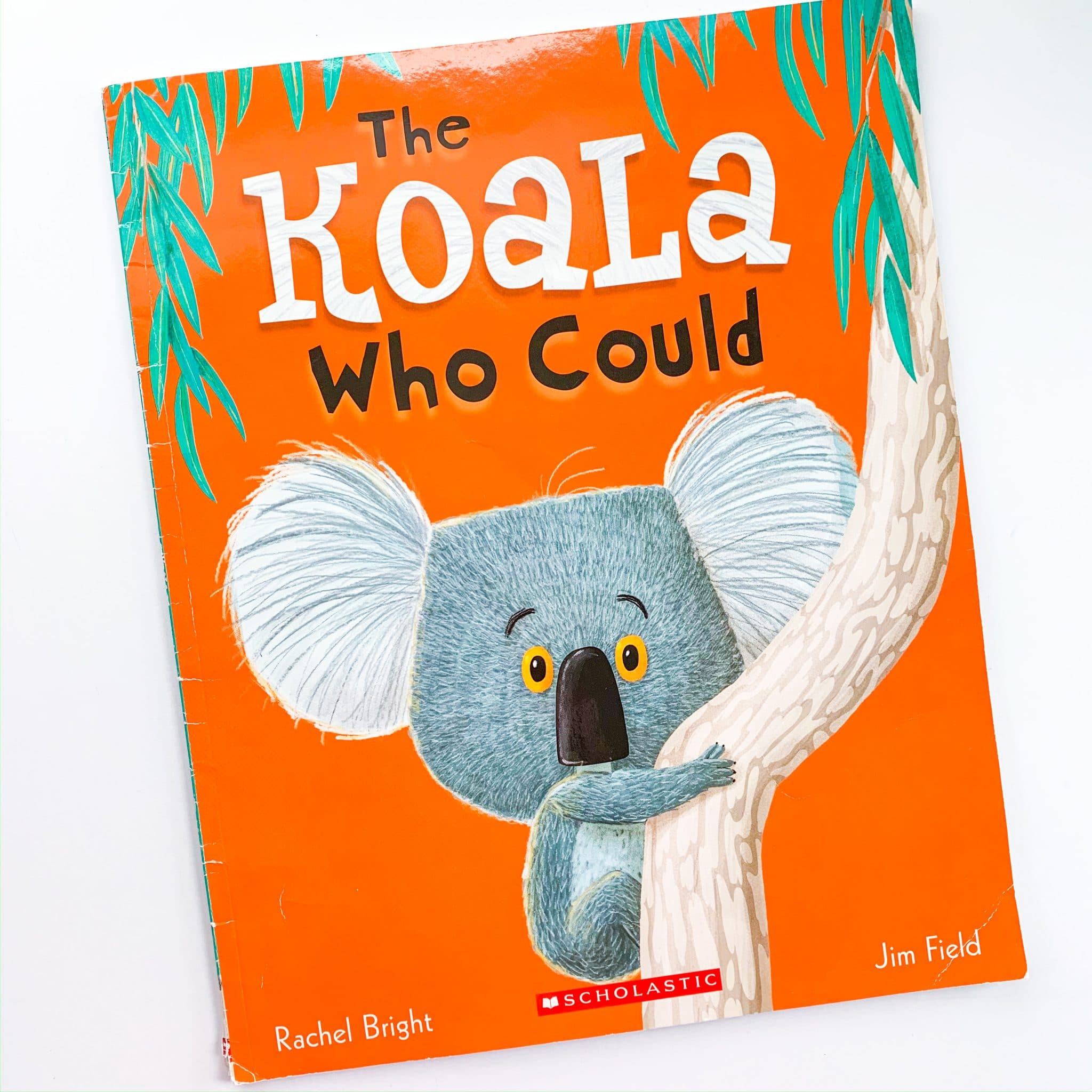 Rhyming Activities 53 IMG 8941 scaled